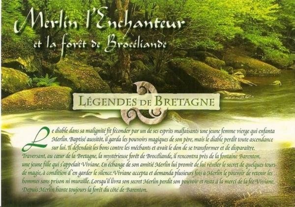 Le Bois Du Loup En Broceliande Villa Paimpont Ngoại thất bức ảnh